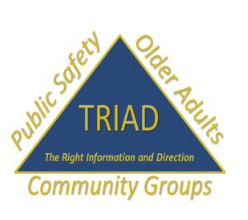 TRIAD logo